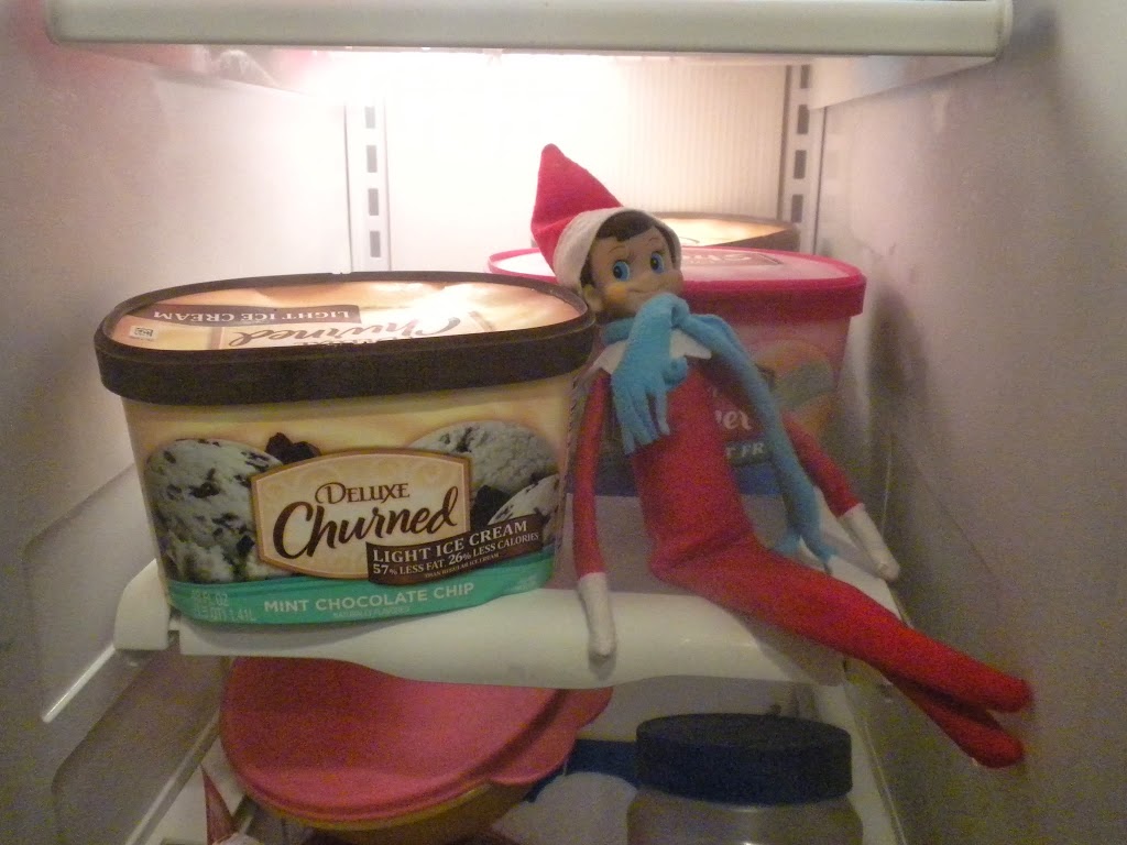 Elf on the Shelf Ideas