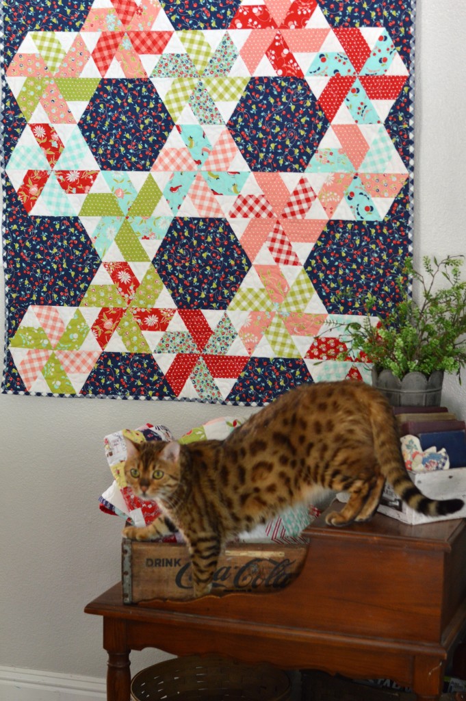 little-ruby-quilt-along-finished-quilt