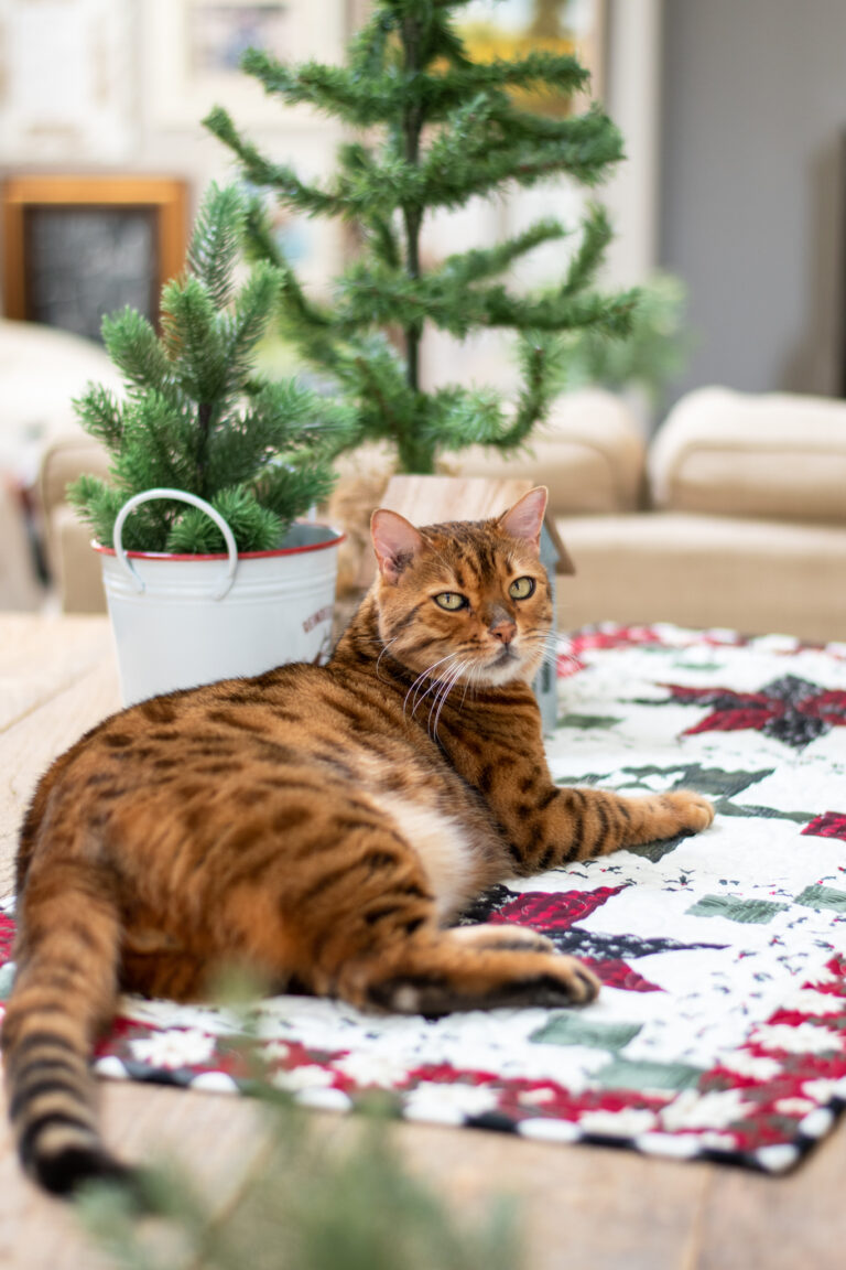 Farmhouse Christmas Table Runner